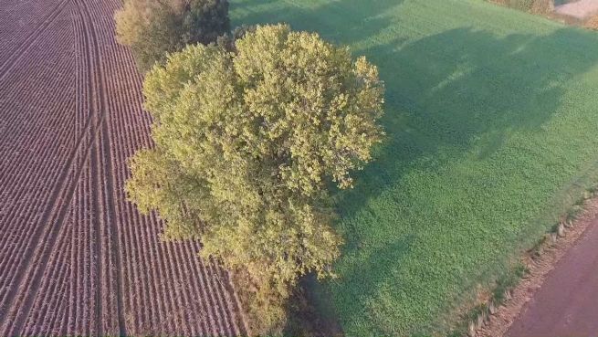 go to Vergehende Schönheit: Herbsteindrücke aus Drohnensicht